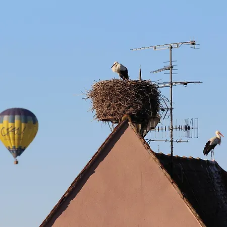 La Belle Alsacienne - Route Des Vins D'alsace Hotel *