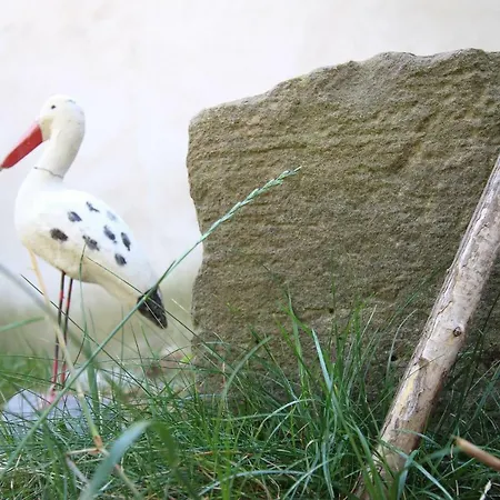 La Belle Alsacienne - Route Des Vins D'alsace Hotel *