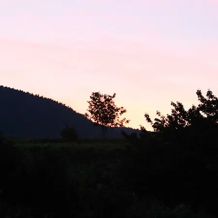 La Belle Alsacienne - Route Des Vins D'alsace *