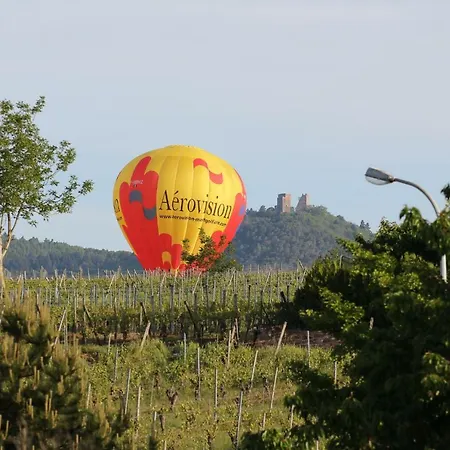 La Belle Alsacienne - Route Des Vins D'alsace Szálloda