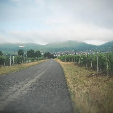 Szálloda La Belle Alsacienne - Route Des Vins D'alsace Hattstatt