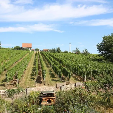 La Belle Alsacienne - Route Des Vins D'alsace Hotel