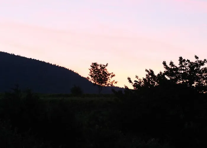 La Belle Alsacienne - Route Des Vins D'alsace *